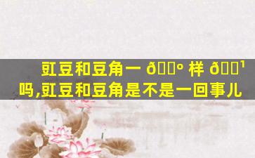 豇豆和豆角一 🌺 样 🌹 吗,豇豆和豆角是不是一回事儿